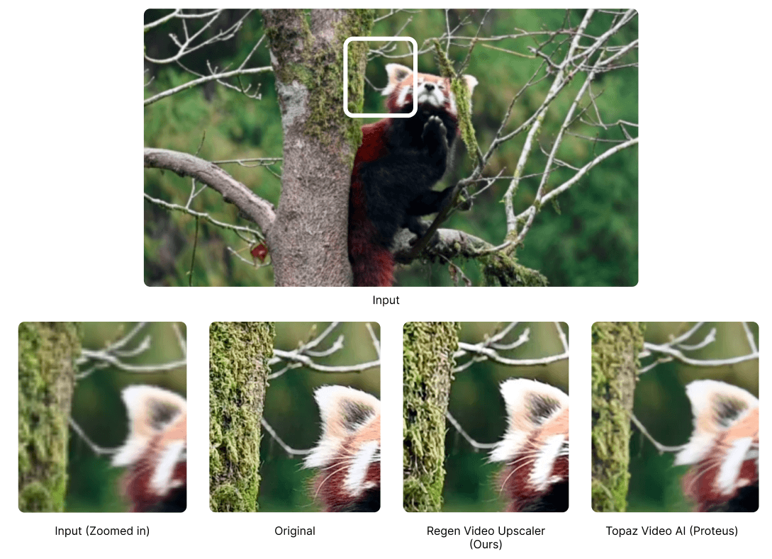Regen Video Upscaler vs Topaz Video AI